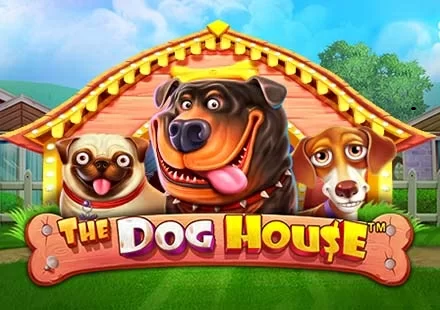 Dog House